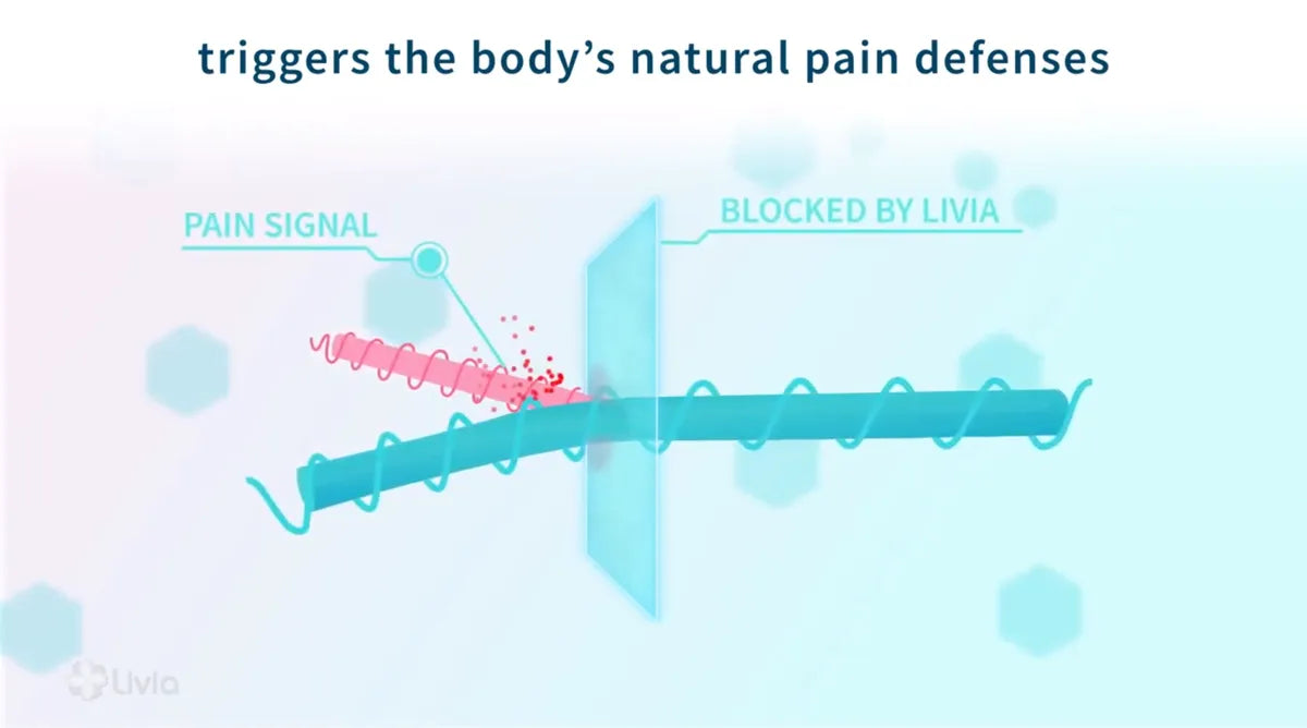 scienceLivia.png